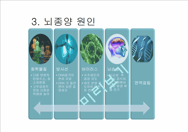 [4000원] 뇌종양종류 및 증상,양성종양 VS 악성종양,뇌종양 수술 방법,뇌종양에 좋은 음식,뇌농양,두부손상,두부손상 응급처치,두부손상에 의한 질환.pptx